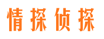 谷城侦探